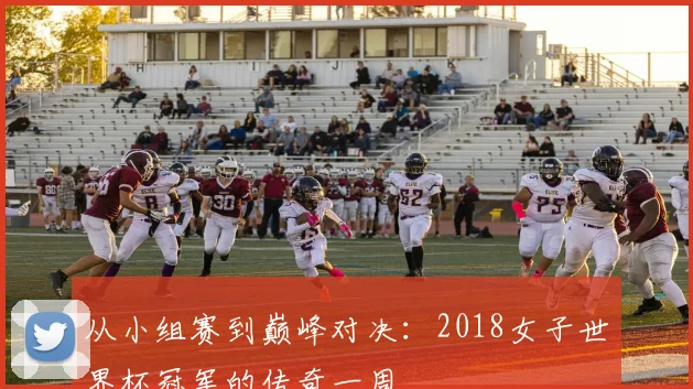 从小组赛到巅峰对决：2018女子世界杯冠军的传奇一周