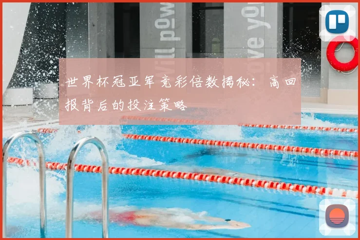 世界杯冠亚军竞彩倍数揭秘：高回报背后的投注策略