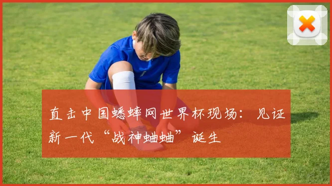 直击中国蟋蟀网世界杯现场：见证新一代“战神蛐蛐”诞生
