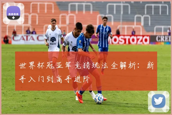 世界杯冠亚军竞猜玩法全解析：新手入门到高手进阶