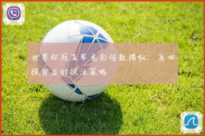 世界杯冠亚军竞彩倍数揭秘：高回报背后的投注策略