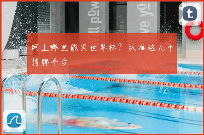 网上哪里能买世界杯？认准这几个持牌平台